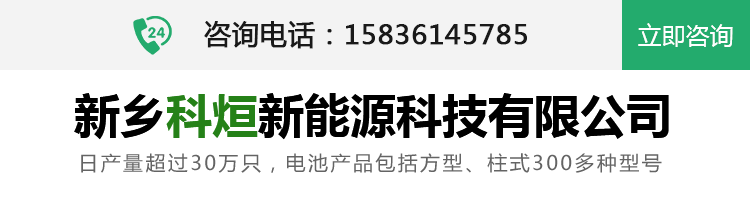 新乡凯发k8国际首页登录新能源科技有限公司