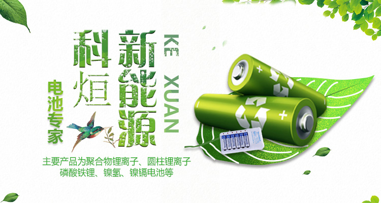 新乡凯发k8国际首页登录新能源科技有限公司